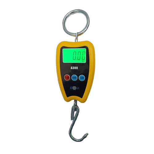 A 308 weighing scale model